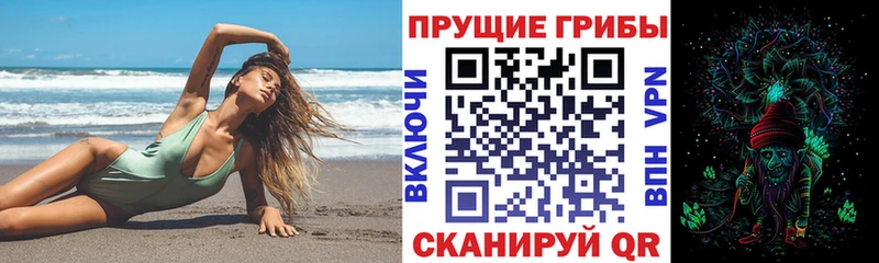 Псилоцибиновые грибы мицелий omg зеркало Гусиноозёрск где купить наркоту
